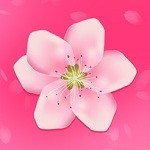 草莓丝瓜香蕉向日葵榴莲大全ios版