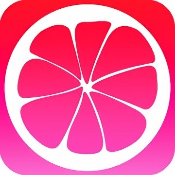 麻花传剧下载
