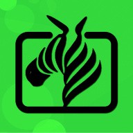 小蝌蚪视频www手机版在线下载