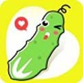 火辣辣app福引导大全最新版