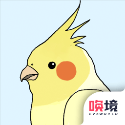 鸟巢完整版下载